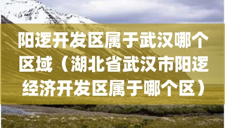 阳逻开发区属于武汉哪个区域(湖北省武汉市阳逻经济开发区属于哪个区)
