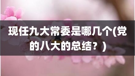 现任九大常委是哪几个(党的八大的总结？)