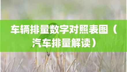 车辆排量数字对照表图（汽车排量解读）