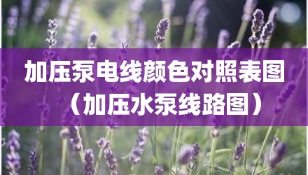 加压泵电线颜色对照表图（加压水泵线路图）