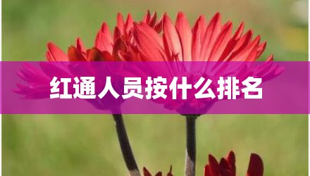红通人员按什么排名