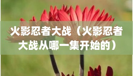 火影忍者大战（火影忍者大战从哪一集开始的）