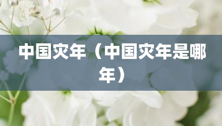 中国灾年（中国灾年是哪年）