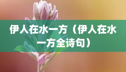 伊人在水一方（伊人在水一方全诗句）