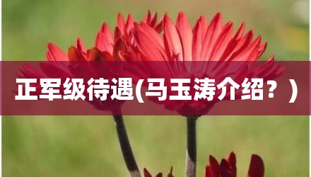 正军级待遇(马玉涛介绍？)