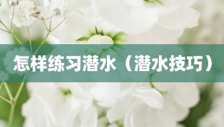 怎样练习潜水（潜水技巧）