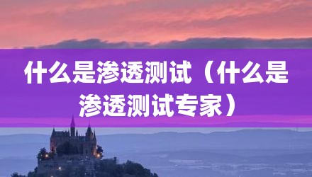 什么是渗透测试（什么是渗透测试专家）