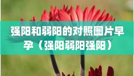 强阳和弱阳的对照图片早孕(强阳弱阳强阳)