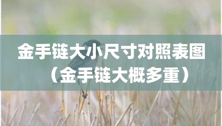 金手链大小尺寸对照表图（金手链大概多重）