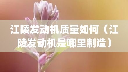 江陵发动机质量如何（江陵发动机是哪里制造）