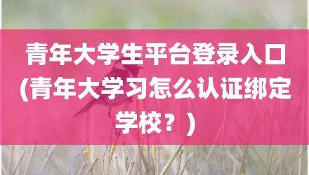 青年大学生平台登录入口(青年大学习怎么认证绑定学校？)