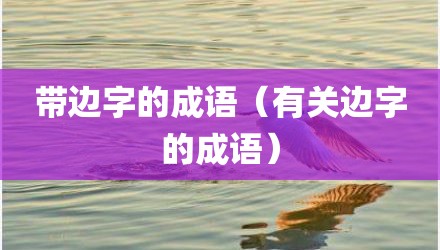 带边字的成语（有关边字的成语）