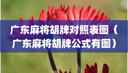 广东麻将胡牌对照表图（广东麻将胡牌公式有图）