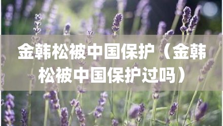 金韩松被中国保护（金韩松被中国保护过吗）