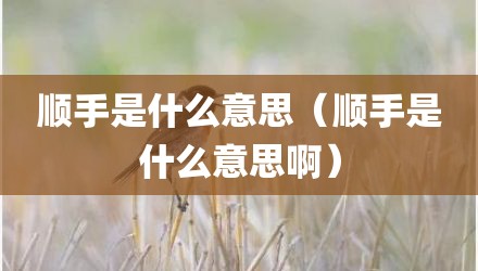 顺手是什么意思（顺手是什么意思啊）