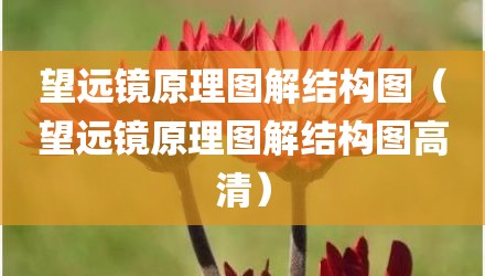 望远镜原理图解结构图(望远镜原理图解结构图高清)