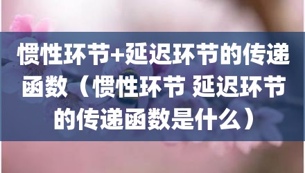 惯性环节+延迟环节的传递函数（惯性环节 延迟环节的传递函数是什么）