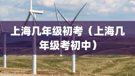上海几年级初考（上海几年级考初中）