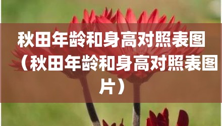 秋田年龄和身高对照表图（秋田年龄和身高对照表图片）