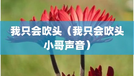 我只会吹头（我只会吹头小哥声音）