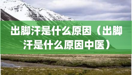 出脚汗是什么原因（出脚汗是什么原因中医）