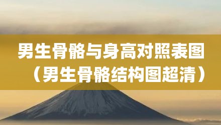 男生骨骼与身高对照表图（男生骨骼结构图超清）