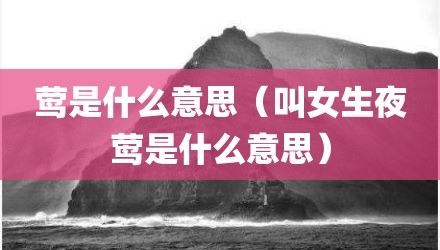 莺是什么意思（叫女生夜莺是什么意思）