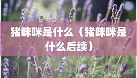 猪咪咪是什么(猪咪咪是什么后续)