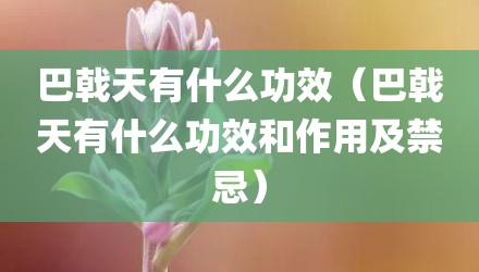 巴戟天有什么功效（巴戟天有什么功效和作用及禁忌）