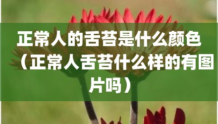 正常人的舌苔是什么颜色（正常人舌苔什么样的有图片吗）