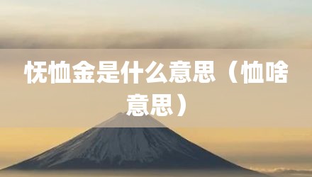怃恤金是什么意思（恤啥意思）
