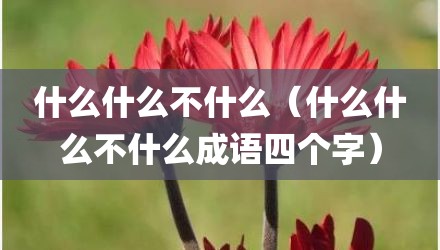 什么什么不什么（什么什么不什么成语四个字）