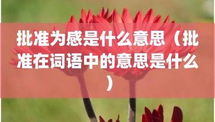 批准为感是什么意思(批准在词语中的意思是什么)