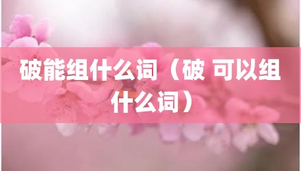 破能组什么词(破 可以组什么词)