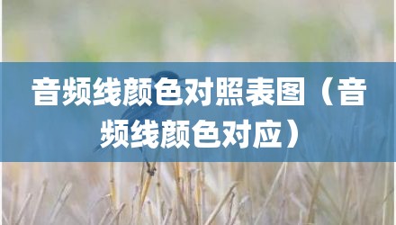 音频线颜色对照表图（音频线颜色对应）