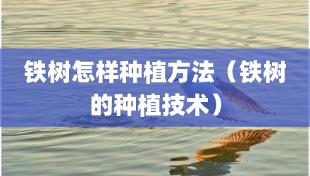 铁树怎样种植方法(铁树的种植技术)