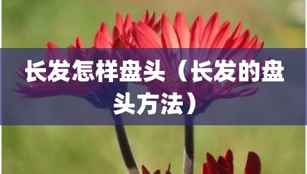 长发怎样盘头（长发的盘头方法）