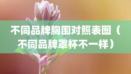 不同品牌胸围对照表图（不同品牌罩杯不一样）