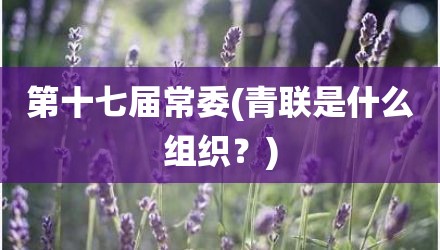 第十七届常委(青联是什么组织？)