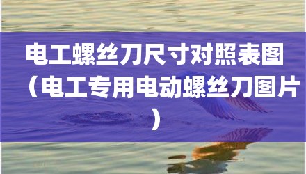 电工螺丝刀尺寸对照表图（电工专用电动螺丝刀图片）
