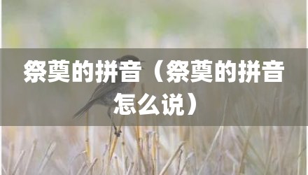 祭奠的拼音（祭奠的拼音怎么说）