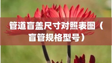 管道盲盖尺寸对照表图（盲管规格型号）