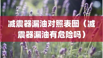 减震器漏油对照表图（减震器漏油有危险吗）