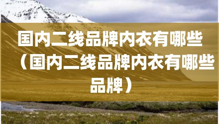 国内二线品牌内衣有哪些（国内二线品牌内衣有哪些品牌）
