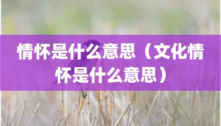 情怀是什么意思（文化情怀是什么意思）