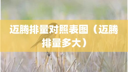 迈腾排量对照表图（迈腾排量多大）