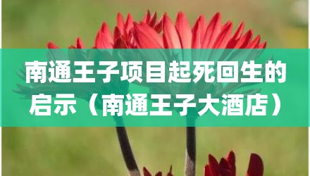 南通王子项目起死回生的启示（南通王子大酒店）