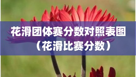 花滑团体赛分数对照表图（花滑比赛分数）