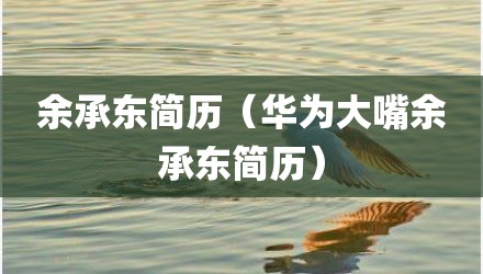 余承东简历（华为大嘴余承东简历）