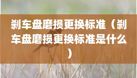 刹车盘磨损更换标准（刹车盘磨损更换标准是什么）